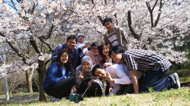 Selfie under the sakura tree!
